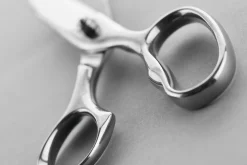 Wüsthof Scissors & Shears|Accessories & Tools></noscript>8