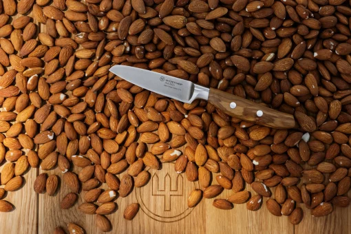 Wüsthof Paring Knives>Amici 3 1/2" Paring Knife