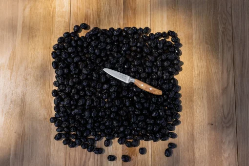 Wüsthof Paring Knives>Amici 3 1/2" Paring Knife