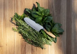 Wüsthof Asian-Style Knives></noscript>Amici 7