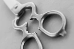 Wüsthof Scissors & Shears|Accessories & Tools></noscript>Stainless Kitchen Shears
